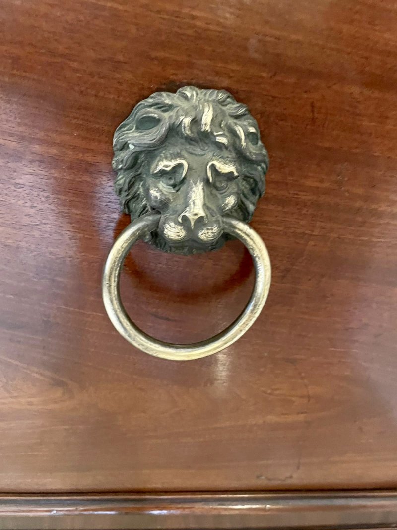 Large George III Antique Mahogany Cellarette/Wine Cooler - Image 19